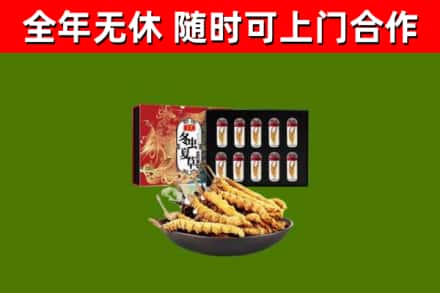 镇海烟酒回收冬虫夏草礼盒.jpg