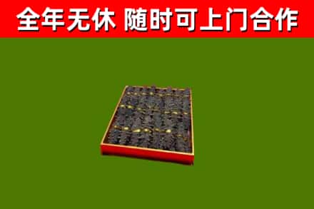镇海烟酒回收海参.jpg